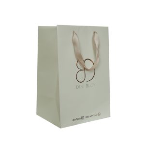 שקית קרטון לראש  עומד למותג דיני בלוי